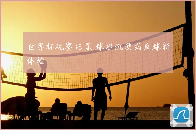 世界杯观赛记录 球迷沉浸式看球新体验