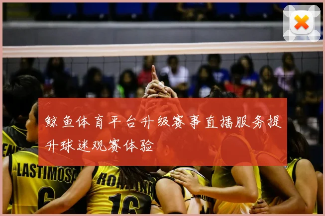 鲸鱼体育平台升级赛事直播服务提升球迷观赛体验
